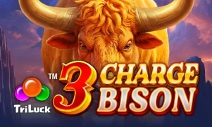 3 Charge Bison